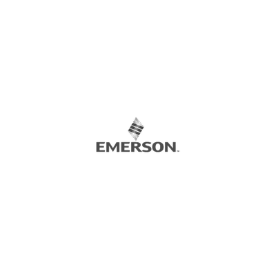 Emerson-Process Gas Analyzer System